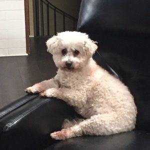 Meet your Posher, Aimee